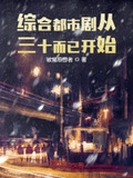 综合都市剧从三十而已开始 被窝思想者